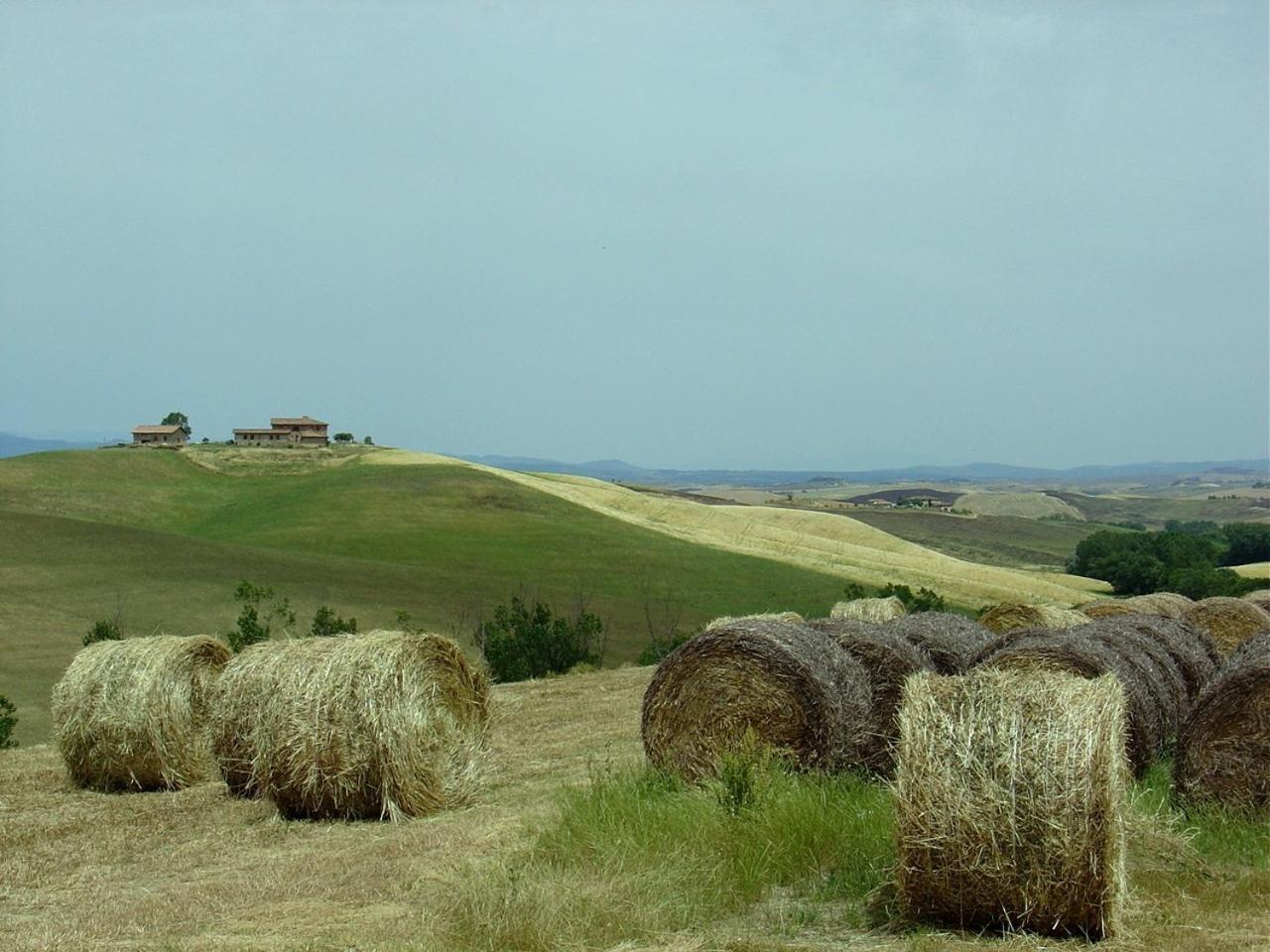 Tenuta Di Corsano Monteroni d'Arbia Exterior photo
